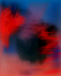 Evasive Image